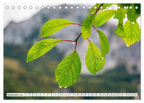 Produktbild: Natur hautnah Kalender (Tischkalender 2026 DIN A5 quer), CALVENDO Monatskalender