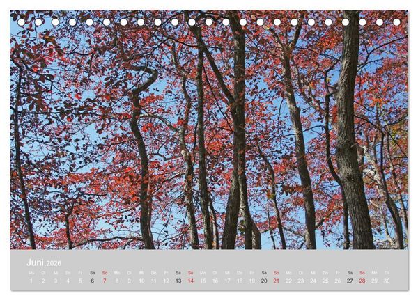 Produktbild: Indian Summer in New England (Tischkalender 2026 DIN A5 quer), CALVENDO Monatskalender