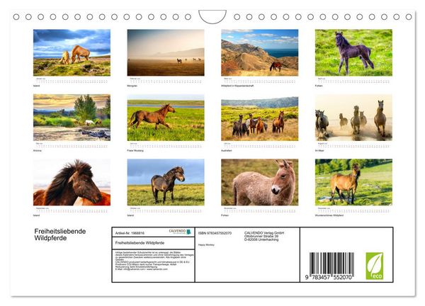 Produktbild: Freiheitsliebende Wildpferde (Wandkalender 2026 DIN A4 quer), CALVENDO Monatskalender