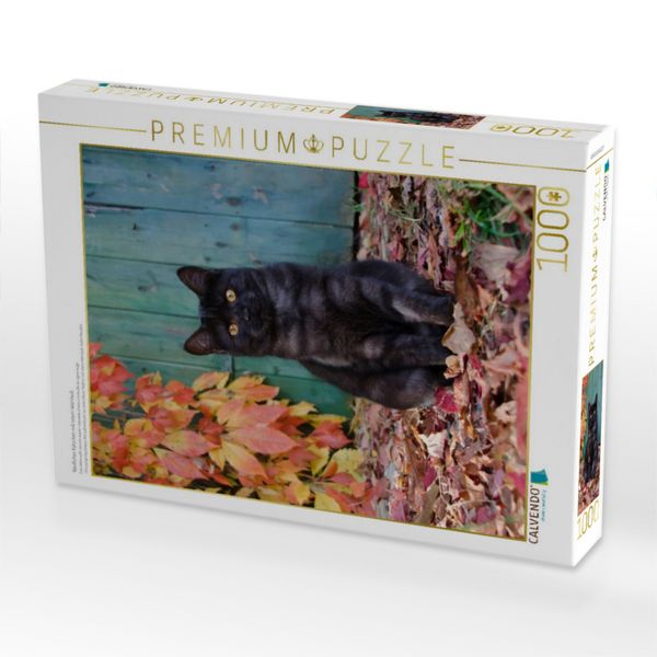 Produktbild: CALVENDO Puzzle Niedliches K&auml;tzchen mit rotem Weinlaub | 1000 Teile Lege-Gr&ouml;&szlig;e 64x48cm Foto-Puzzle f&uuml;r gl&uuml;ckliche Stunden