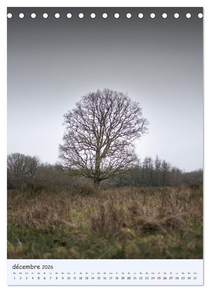 Produktbild: Arbres solitaires (Calendrier de bureau 2026 DIN A5 horizontal), CALVENDO calendrier mensuel