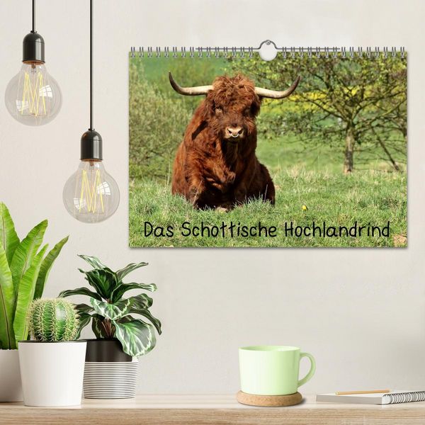 Produktbild: Das Schottische Hochlandrind (Wandkalender 2026 DIN A4 quer), CALVENDO Monatskalender