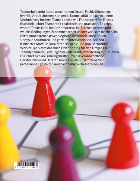 Produktbild: Teamperformance Next Level
