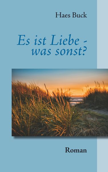 Es ist Liebe - was sonst?, Taschenbuch von Haes Buck, Twentysix Love, 9783740735623