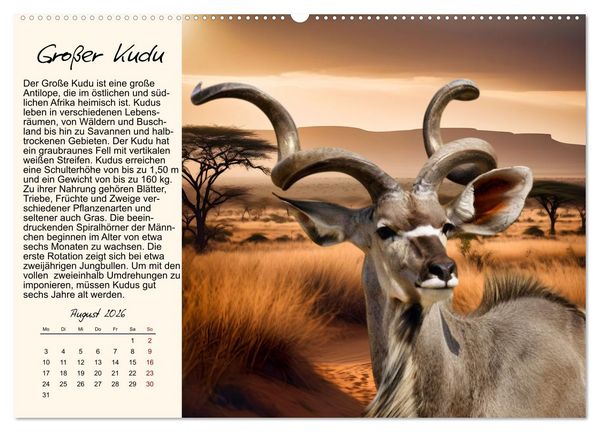 Produktbild: Majest&auml;tische Horntr&auml;ger (hochwertiger Premium Wandkalender 2026 DIN A2 quer), Kunstdruck in Hochglanz