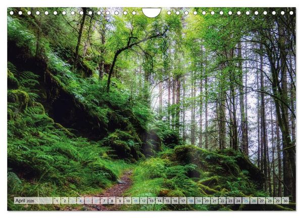 Produktbild: Mein Schottland - Landschaften (Wandkalender 2026 DIN A4 quer), CALVENDO Monatskalender