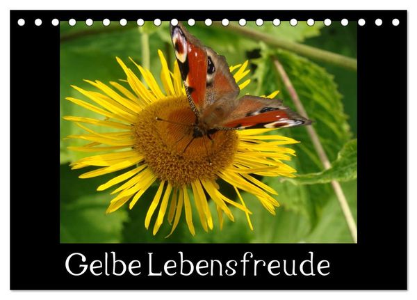 Gelbe Lebensfreude (Tischkalender 2024 DIN A5 quer), CALVENDO Monatskalender
