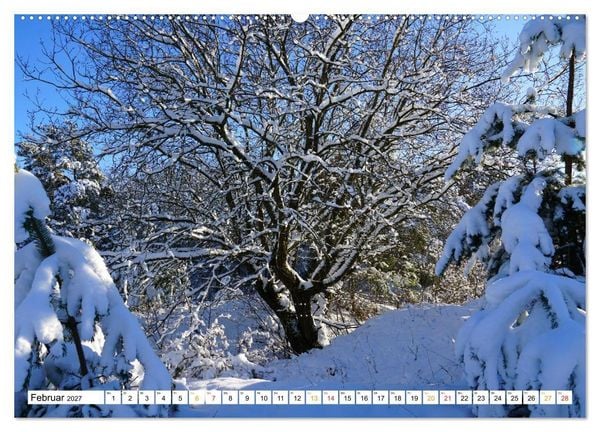 Produktbild: 12 Monate Natur (hochwertiger Premium Wandkalender 2027 DIN A2 quer), Kunstdruck in Hochglanz