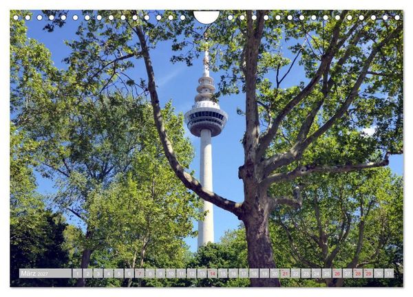 Produktbild: Gr&uuml;nes Mannheim (Wandkalender 2027 DIN A4 quer), CALVENDO Monatskalender