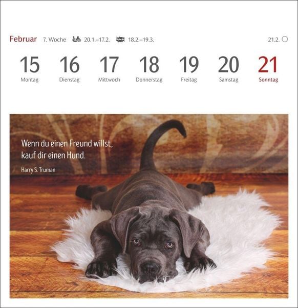 Produktbild: Hunde Premium-Postkartenkalender 2027 - Freunde auf vier Pfoten; Kalender mit 53 Postkarten