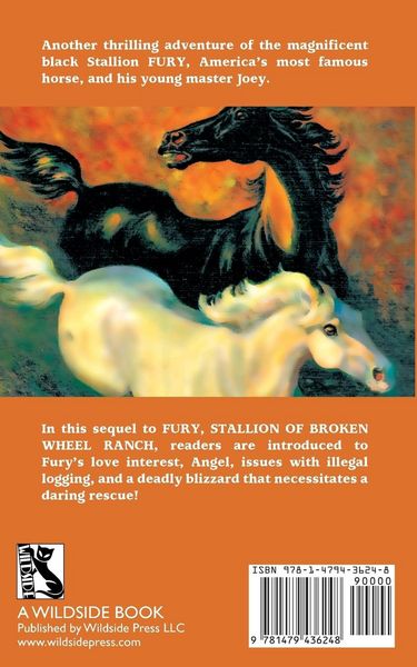 Produktbild: Fury and the White Mare