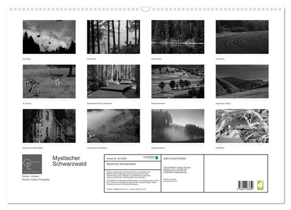 Produktbild: Mystischer Schwarzwald (Wandkalender 2026 DIN A2 quer), CALVENDO Monatskalender