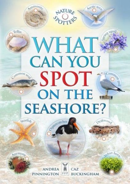 Produktbild: What Can You Spot on the Seashore?