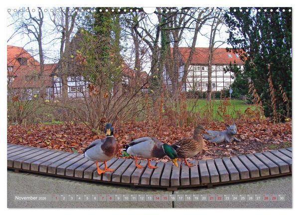 Produktbild: Bad Sassendorf (Wandkalender 2026 DIN A3 quer), CALVENDO Monatskalender