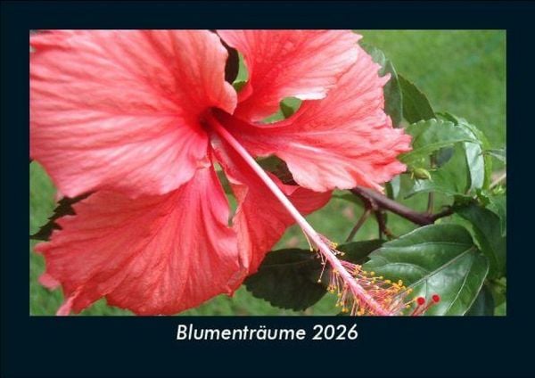 Blumenträume 2026 Fotokalender DIN A5