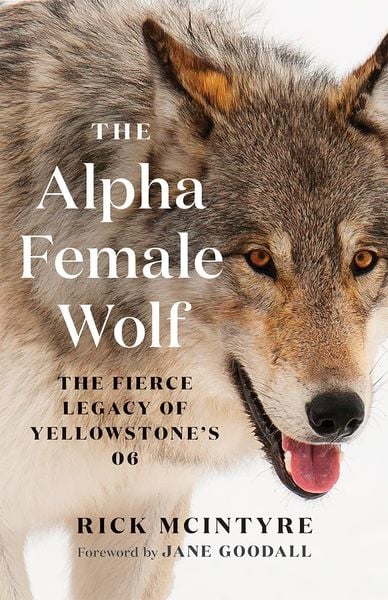 Produktbild: The Alpha Female Wolf