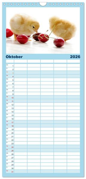 Produktbild: Familienplaner 2026 - K&uuml;ken in der Kinderstube mit 5 Spalten (Wandkalender, 21 x 45 cm) CALVENDO