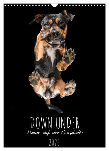Produktbild: Down Under - Hunde auf der Glasplatte (Wandkalender 2026 DIN A3 hoch), CALVENDO Monatskalender