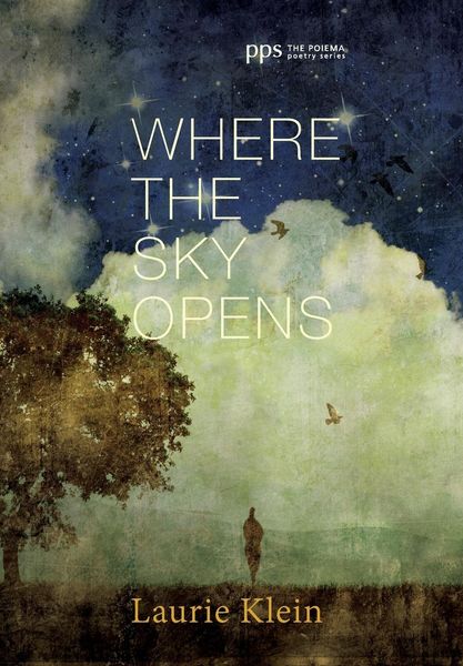 Produktbild: Where the Sky Opens