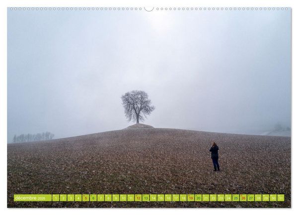 Produktbild: Solitude verdoyante (Calendrier mural 2026 DIN A2 vertical), CALVENDO calendrier mensuel