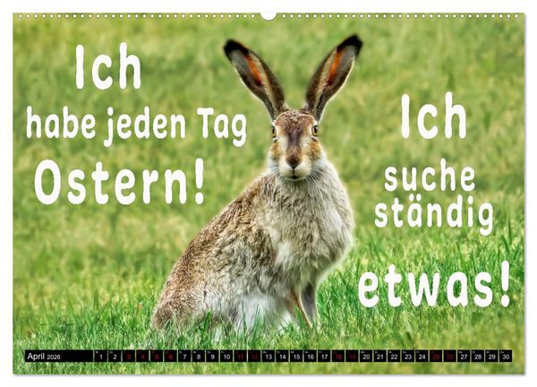 Produktbild: Spruchreif - Gute-Laune-Kalender (hochwertiger Premium Wandkalender 2026 DIN A2 quer), Kunstdruck in Hochglanz