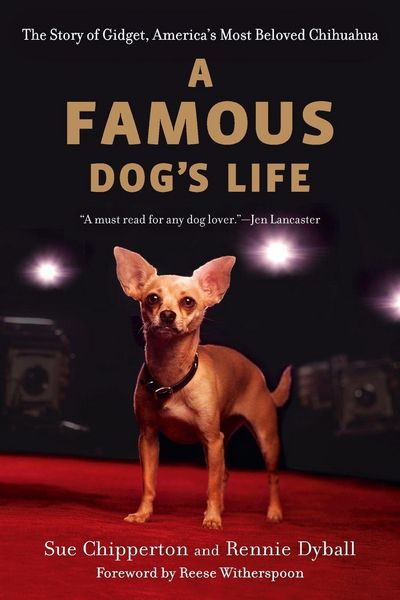 Produktbild: A Famous Dog's Life