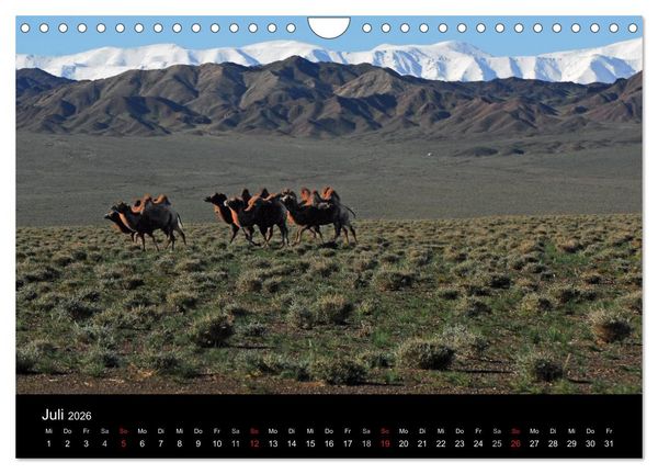 Produktbild: Einsame Mongolei (Wandkalender 2026 DIN A4 quer), CALVENDO Monatskalender