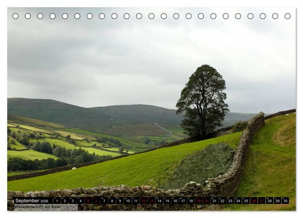 Produktbild: Traumhafte Yorkshire Dales (Tischkalender 2026 DIN A5 quer), CALVENDO Monatskalender