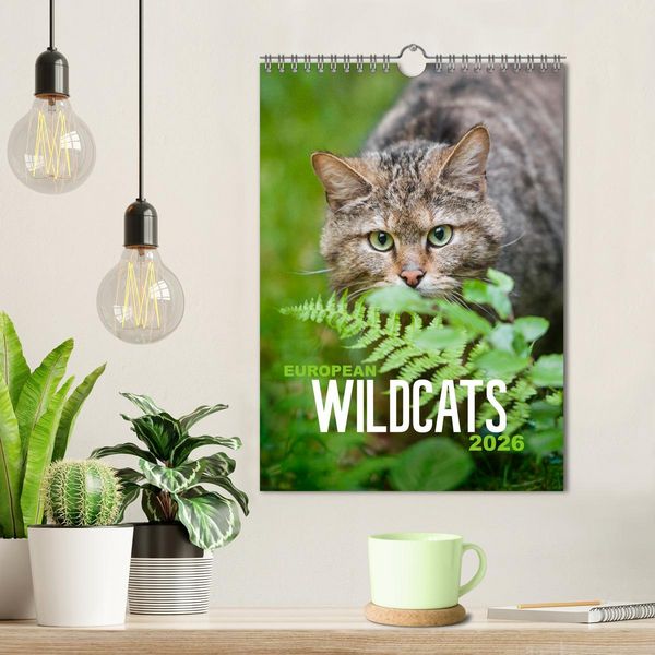 Produktbild: European Wildcats (Wall Calendar 2026 DIN A4 portrait), CALVENDO 12 Month Wall Calendar