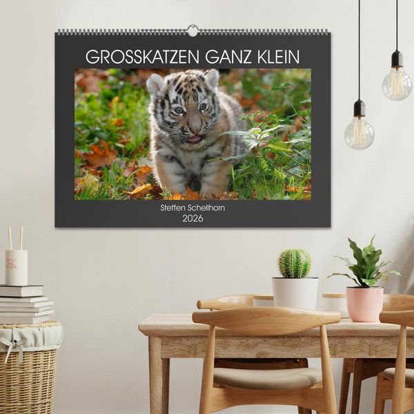 Produktbild: GROSSKATZEN GANZ KLEIN (Wandkalender 2026 DIN A2 quer), CALVENDO Monatskalender