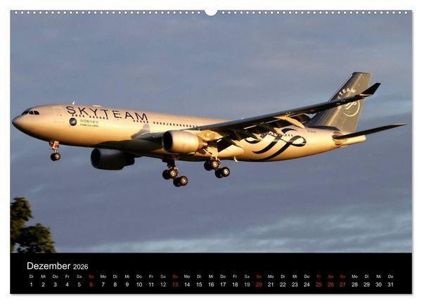 Produktbild: Sch&ouml;nheit der Flugzeuge (Wandkalender 2026 DIN A2 quer), CALVENDO Monatskalender