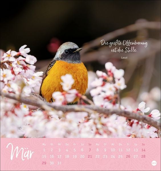 Produktbild: Stille Momente Postkartenkalender 2027
