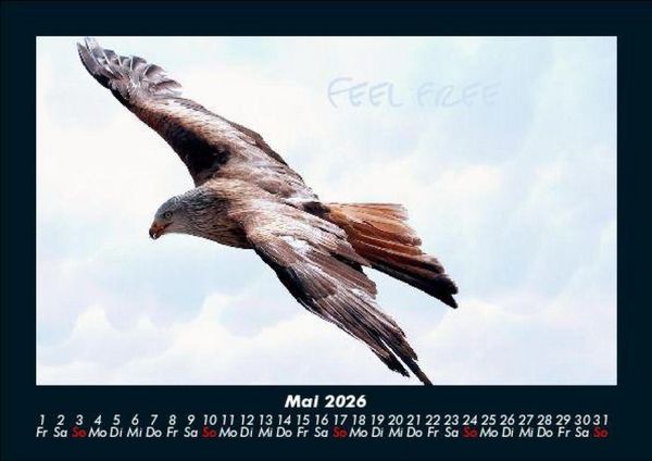Produktbild: Adler 2026 Fotokalender DIN A5