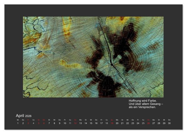 Produktbild: MAGIE HOLZ 2026 (Wandkalender 2026 DIN A3 quer), CALVENDO Monatskalender