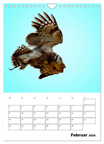 Produktbild: Raub- und Greifv&ouml;gel im Flug (Wandkalender 2026 DIN A4 hoch), CALVENDO Monatskalender