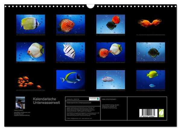 Produktbild: Kalendarische Unterwasserwelt (Wandkalender 2026 DIN A3 quer), CALVENDO Monatskalender