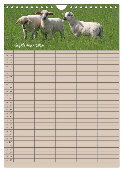Produktbild: Der bel&auml;mmerte Familienplaner (Wandkalender 2026 DIN A4 hoch), CALVENDO Monatskalender
