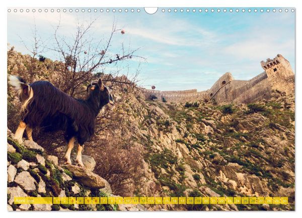 Produktbild: Kotor - Juwel der Adria und UNESCO-Welterbe in Montenegro (Wandkalender 2026 DIN A3 quer), CALVENDO Monatskalender