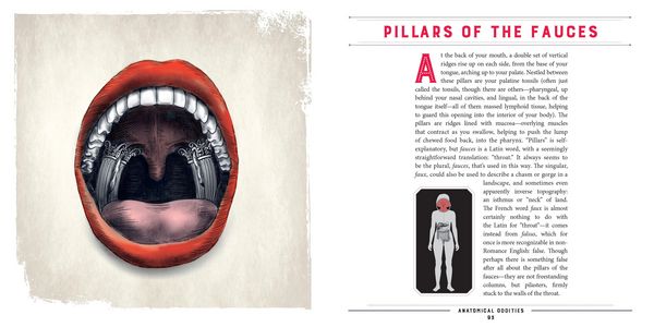 Produktbild: Anatomical Oddities