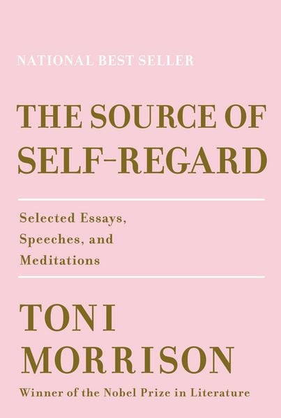Produktbild: The Source of Self-Regard