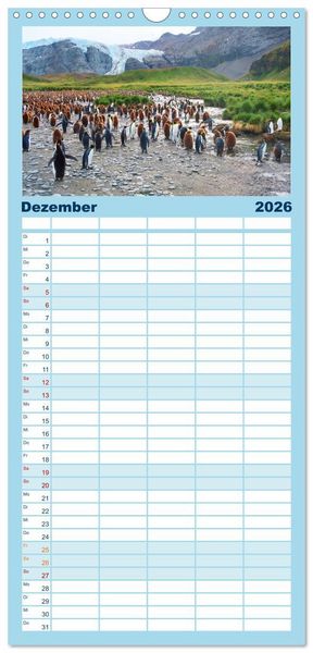 Produktbild: Familienplaner 2026 - Arktis und Antarktis - Eisig durch das Jahr mit 5 Spalten (Wandkalender, 21 x 45 cm) CALVENDO