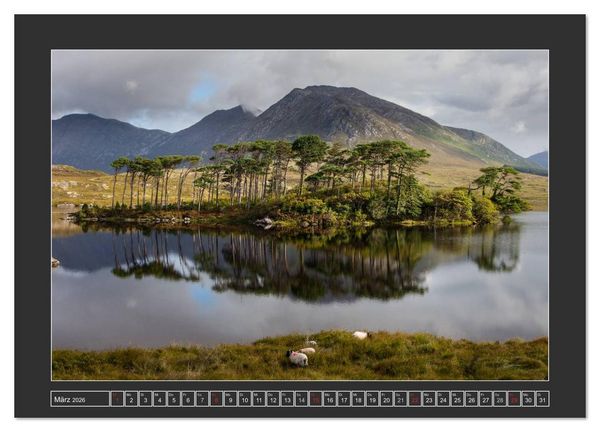 Produktbild: IRLAND - Insel der gl&uuml;cklichen Schafe (Wandkalender 2026 DIN A3 quer), CALVENDO Monatskalender