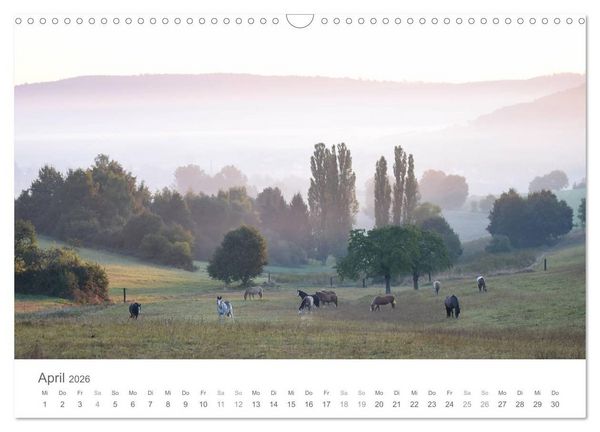 Produktbild: M&auml;rchenpferde (Wandkalender 2026 DIN A3 quer), CALVENDO Monatskalender