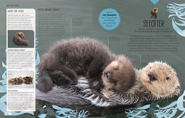 Produktbild: Tierkinder der Wildnis