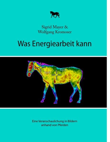 Produktbild: Was Energiearbeit kann