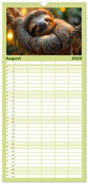 Produktbild: Familienplaner 2026 - Faultiere - entspannt durchs Jahr mit 5 Spalten (Wandkalender, 21 x 45 cm) CALVENDO