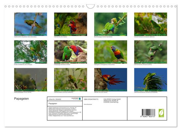 Produktbild: Papageien (Wandkalender 2026 DIN A3 quer), CALVENDO Monatskalender