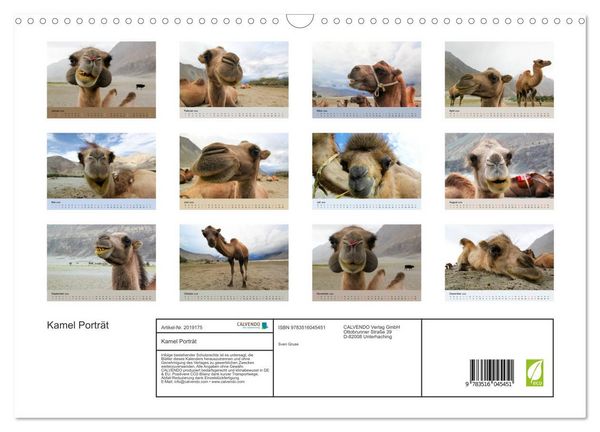 Produktbild: Kamel Portr&auml;t (Wandkalender 2026 DIN A3 quer), CALVENDO Monatskalender