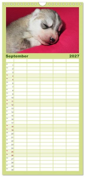 Produktbild: Familienplaner 2027 - Husky Welpen mit 5 Spalten (Wandkalender, 21 x 45 cm) CALVENDO