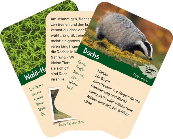Produktbild: Naturforscher-Kids &ndash; Wald